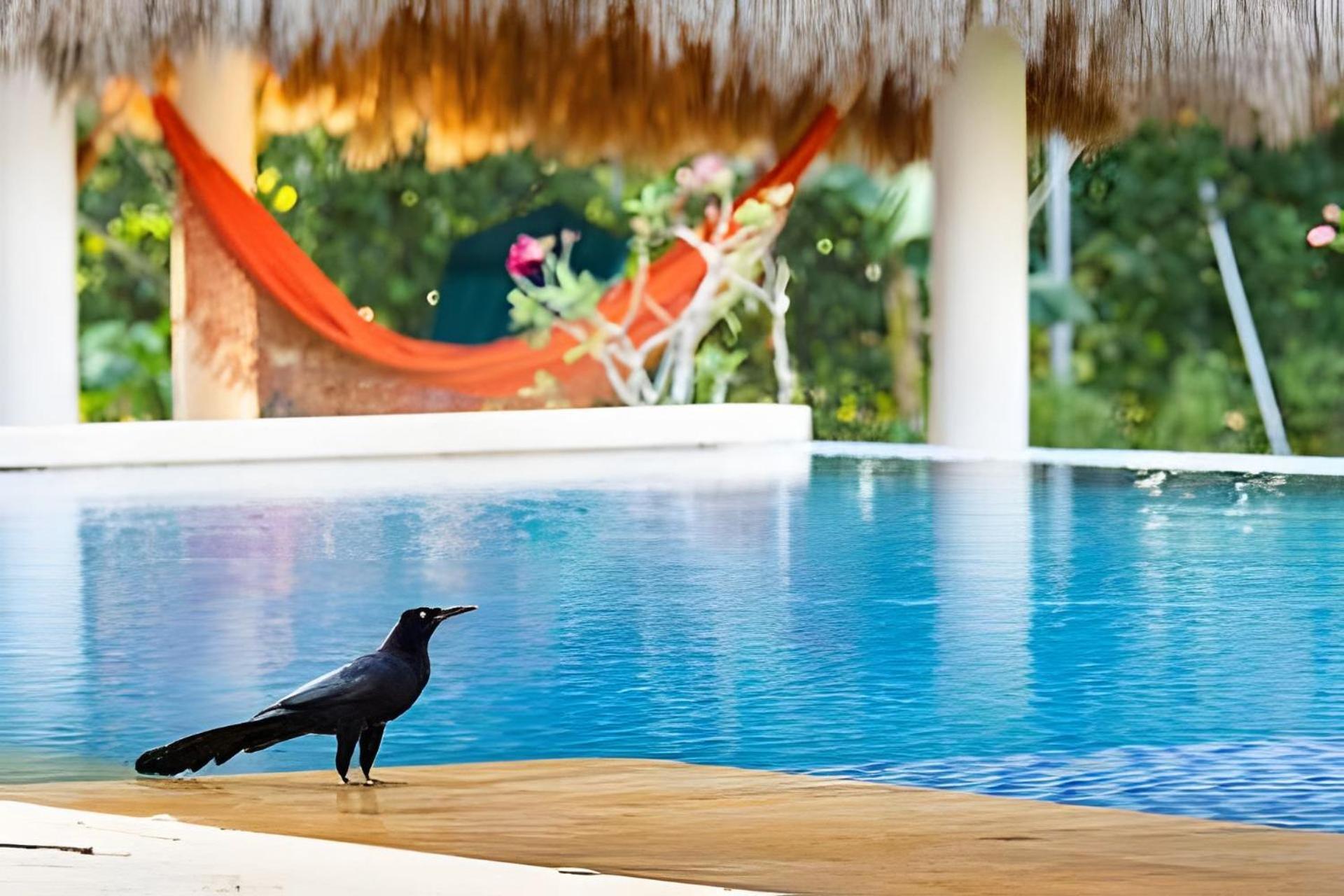Modern & Fresh | Arroyito W/pool & Barbecue *